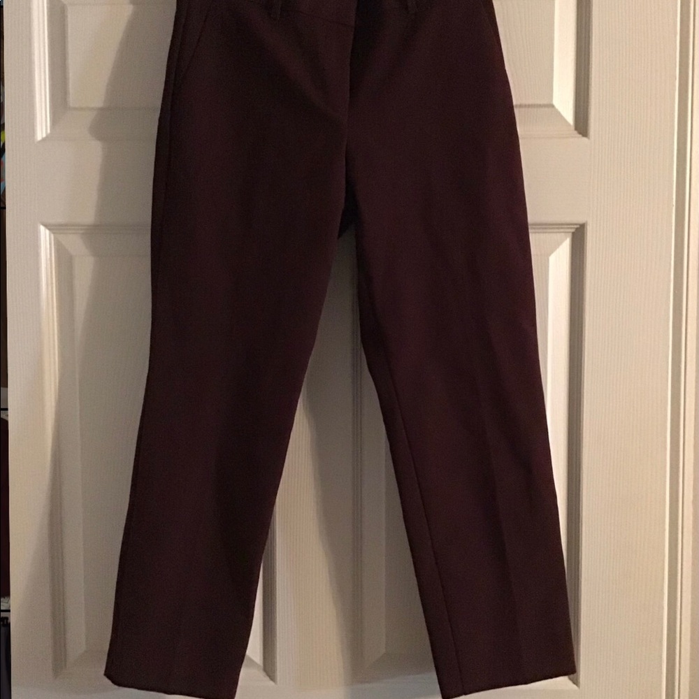 Ann Taylor Dress Pant
